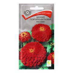 Цинния Георгиноцветковая Алое Пламя цв.п 0,4гр Поиск