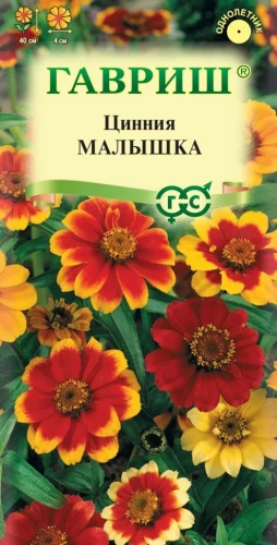 Цинния Малышка цв.п 0,3гр Гавриш