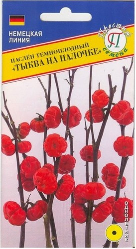 Паслён темноплодный Тыква На Палочке цв.п 5шт Престиж