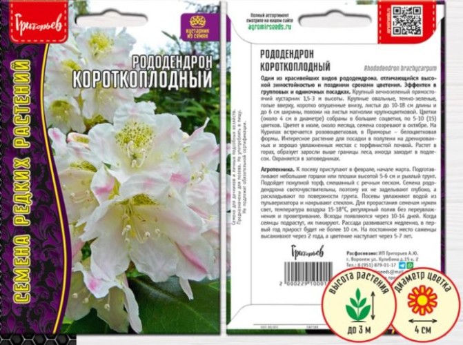Рододендрон Короткоплодный цв.п 20шт ИП Григорьев