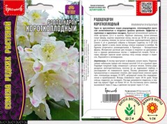 Рододендрон Короткоплодный цв.п 20шт ИП Григорьев