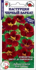 Настурция Чёрный Бархат цв.п 0,5гр Золотая Сотка Алтая
