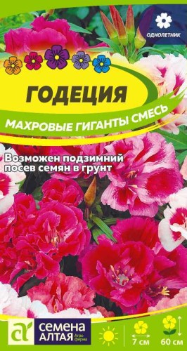 Годеция Махровые Гиганты смесь цв.п 0,2гр Семена Алтая