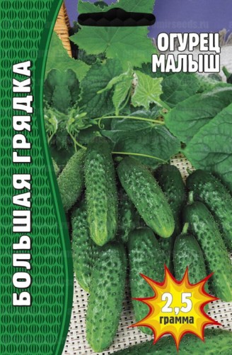 Огурец Малыш цв.п 20шт ИП Григорьев