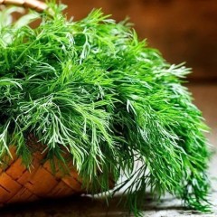 Укроп Кустистый цв.п 750шт Сортсемовощ