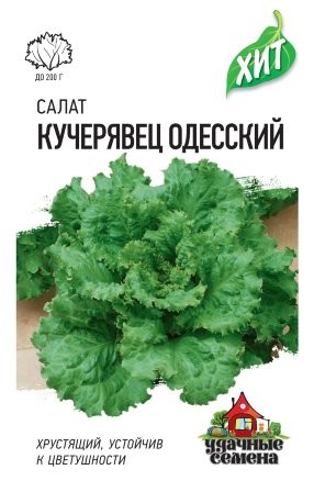 Салат Кучерявец Одесский цв.п 0,5гр Удачные Семена