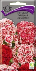 Гвоздика (бородатая) турецкая Супер Дуплекс цв.п 0,3гр Поиск