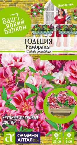 Годеция Рембрандт крупноцветковая цв.п 0,2гр Семена Алтая