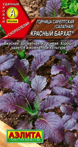 Горчица Красный бархат салатная 0,5 гр цв.п Аэлита