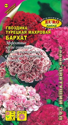 Гвоздика турецкая махровая Бархат цв.п 0,3гр Аэлита