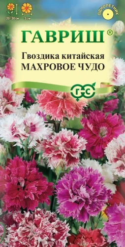 Гвоздика китайская Махровое Чудо смесь цв.п 0,05гр Гавриш