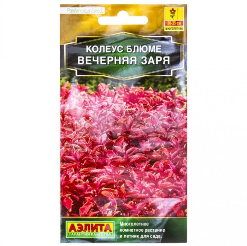 Колеус Блюме Вечерняя Заря цв.п 5шт Аэлита