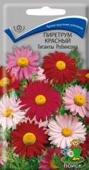 Пиретрум Красный Гиганты Робинсона цв.п 0,2гр Поиск