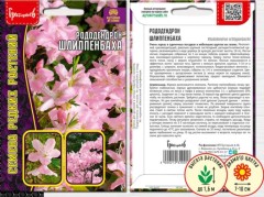 Рододендрон Шлиппенбаха цв.п 0,01гр ИП Григорьев