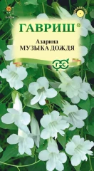 Азарина Музыка Дождя цв.п 4шт Гавриш