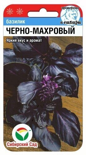 Базилик Чёрно-Махровый цв.п 0,5гр Сибирский Сад