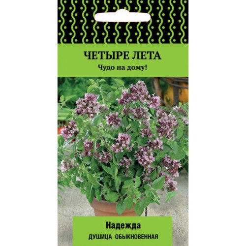 Душица Надежда цв.п 20шт Поиск