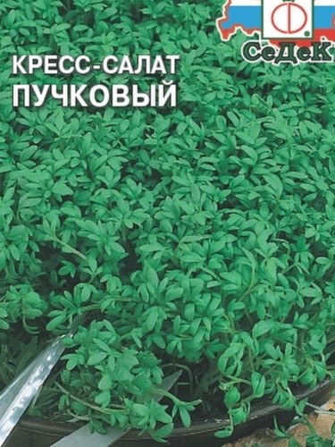 Кресс-салат Пучковый цв.п 1гр СеДек