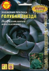Эхеверия Пекокка (Толстянка) Голубая Звезда цв.п. 10шт EURO EXTRA