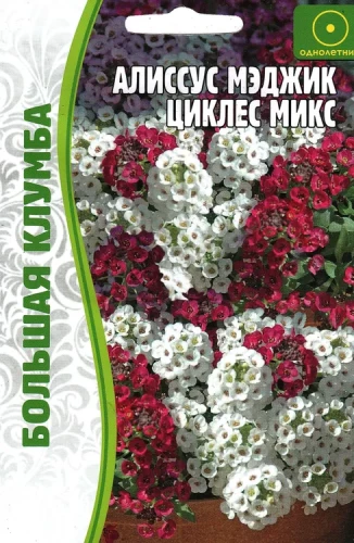 Алиссум Magic Cicles микс цв.п 0,1гр ИП Григорьев