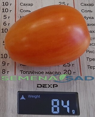 Томат Лисий Хвост цв.п 10шт Медведев