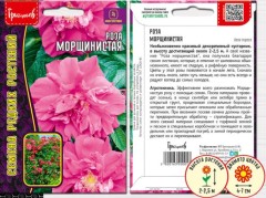 Роза Морщинистая (Rosa rugosa) цв.п 10шт ИП Григорьев