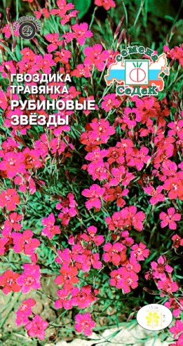 Гвоздика Травянка Рубиновые Звезды цв.п 0,2гр СеДек