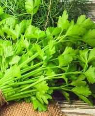 Кориандр Сацебели цв.п 2гр Аэлита