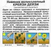 Нивяник Крейзи Дейзи, махровый цв.п 25шт Аэлита