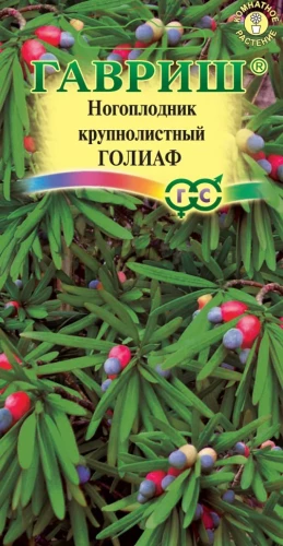 Ногоплодник крупнолистный Голиаф цв.п. 3шт Гавриш