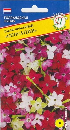 Табак крылатый Сенсация цв.п 0,01гр Престиж
