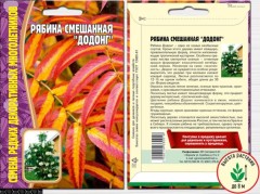 Рябина смешанная Додонг цв.п 5шт ИП Григорьев