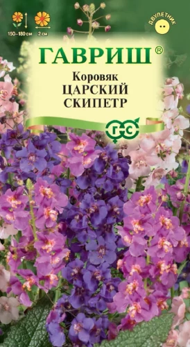 Коровяк Царский Скипетр цв.п 0,05гр Гавриш
