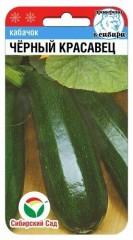 Кабачок Черный Красавец цв.п 5шт Сибирский Сад