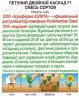 Петуния Двойной Каскад махровая, смесь сортов F1 цв.п 5шт Аэлита