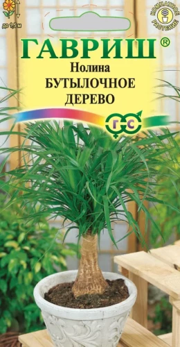 Нолина Бутылочное Дерево цв.п 3шт Гавриш