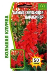 Сальвия Карабинер сверкающая цв.п 50шт ИП Григорьев