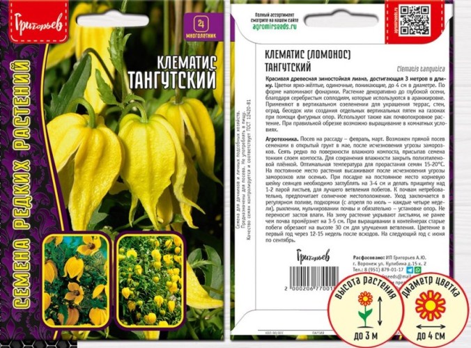 Клематис Тангутский (Clematis tangutica) цв.п 10шт ИП Григорьев