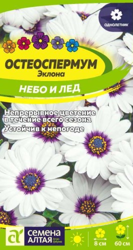 Остеоспермум Эклона Небо и Лёд цв.п 0,1гр Семена Алтая