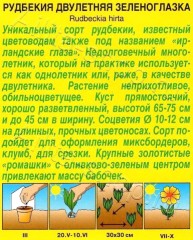 Рудбекия Зеленоглазка цв.п 10шт Аэлита