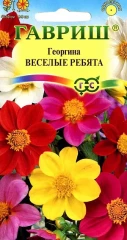 Георгина Веселые Ребята, смесь цв.п 0,3гр Гавриш