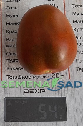 Томат Чёрный Гроздевой цв.п 10шт Медведев