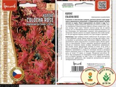 Колеус Colocha Rose цв.п 5шт ИП Григорьев