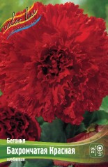 Бегония Бахромчатая Красная клубневая Color Line