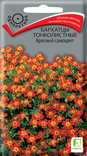 Бархатцы Красный Самоцвет тонколистные цв.п 0,1гр Поиск