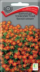 Бархатцы Красный Самоцвет тонколистные цв.п 0,1гр Поиск