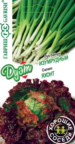 ДУЭТ Лук батун Изумрудный 0,5 г+Салат Яхонт 0,5гр  цв.п Гавриш