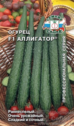 Огурец Аллигатор F1  цв.п 0.2гр СеДек