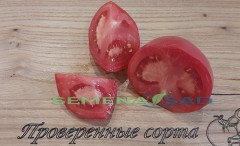 Томат Демидов цв.п 10шт Медведев
