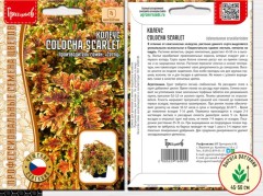 Колеус Colocha Scarlet цв.п 5шт ИП Григорьев